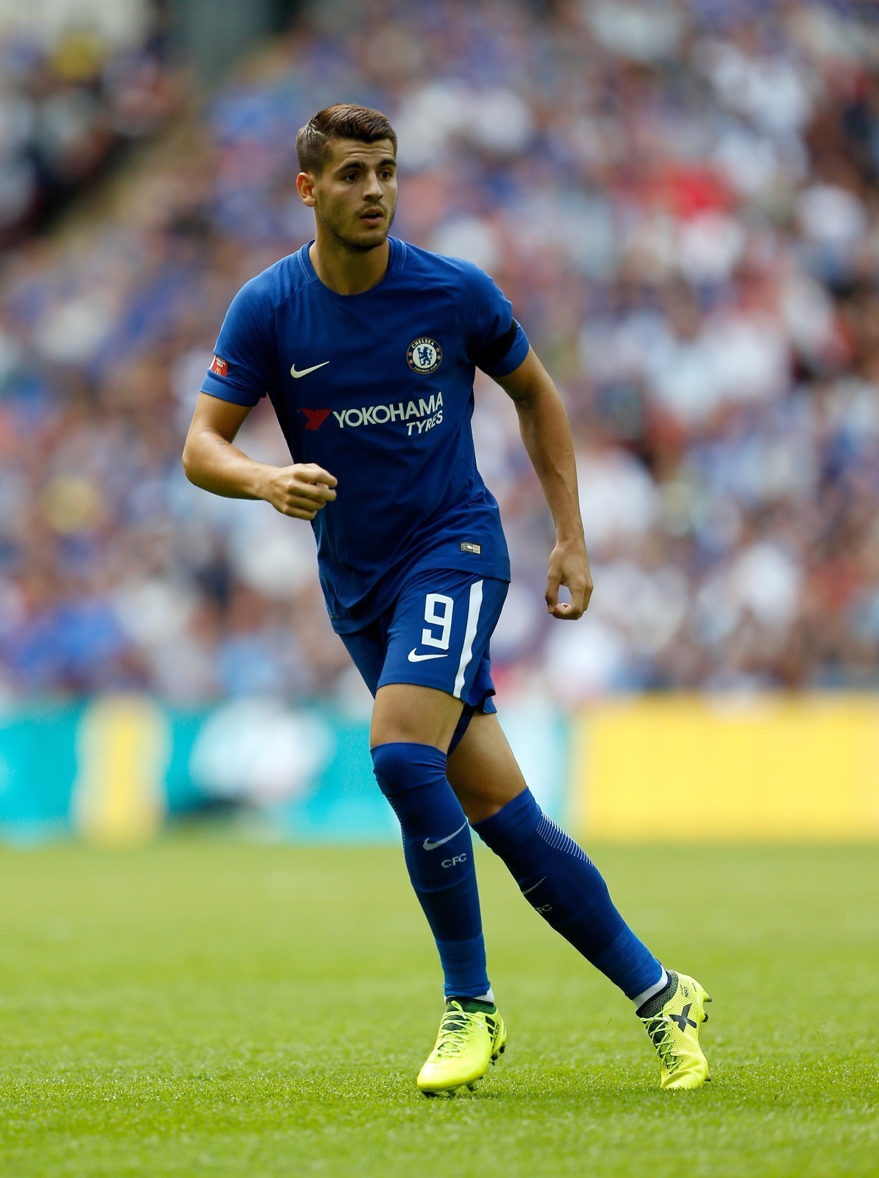 如果你需要 如果你需要